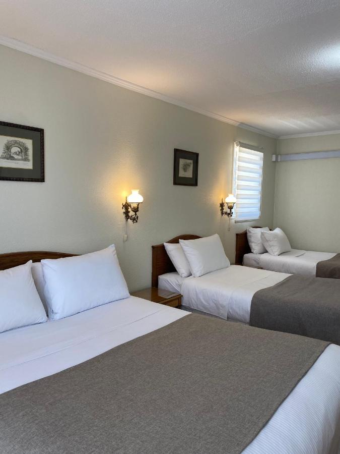 Hotel Melillanca Valdivia Dış mekan fotoğraf